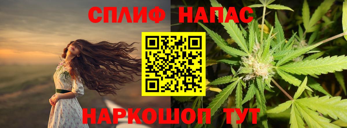 МАРИХУАНА сатива Белгород